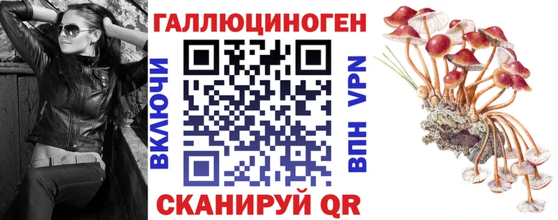 где продают наркотики  kraken как зайти  Галлюциногенные грибы прущие грибы  Луза 
